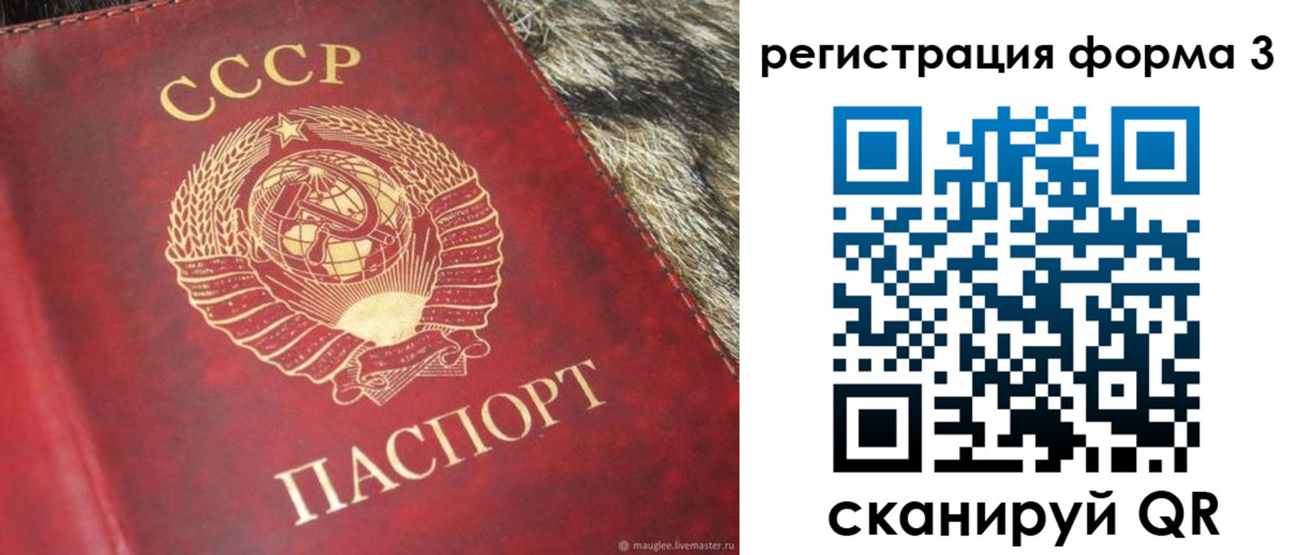 прописка регистрация в Архангельской области